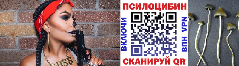 Псилоцибиновые грибы Magic Shrooms  Володарск 