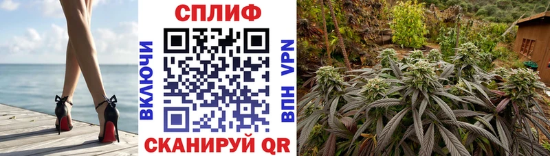 где купить наркоту  Володарск  Канабис SATIVA & INDICA 